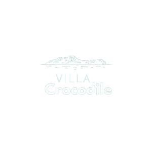 logo villa crocodile transparent