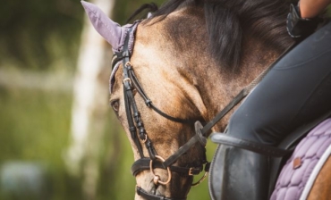 Balades à cheval